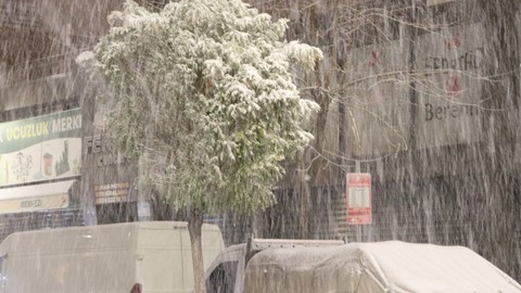 Van'da Kar Yağışı! Karayolu Trafiğe Kapatıldı, Okullar Tatil İlan Edildi