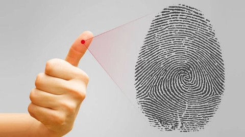İnsanların Parmak İzleri Neden Farklı Hiç Merak Ettiniz mi? Duyunca Çok Şaşıracaksınız
