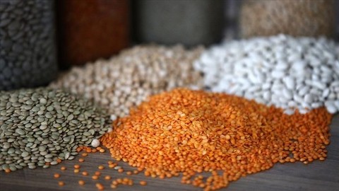 Hububatta 1,03 Milyar Dolarlık  İhracat