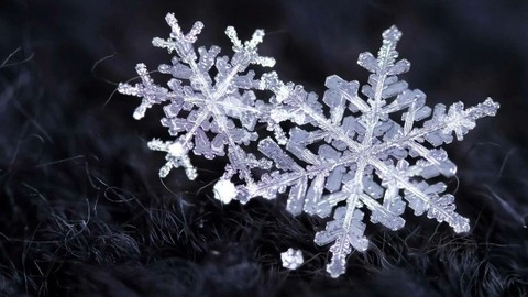 Kar Yağarsa Mikroplar Ölür mü? DSÖ’nün Açıklaması Şaşırttı
