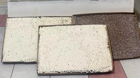 Kırıkkale'de 46 Bin 700 Kaçak Makaron Bulundu