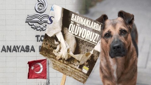 Yaşatacağız Platformundan 'Kanlı Yasa'ya Tepki