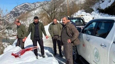 Artvin'de Kaçak Avcılara Suçüstü