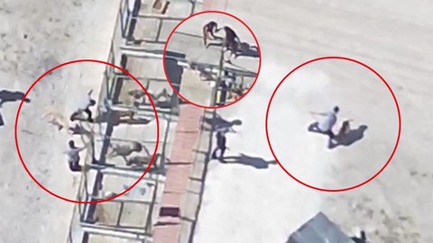 Hayvan Barınağında Yine İşkence! Vahşetin Adresi Bu Kez Konya: Görüntüler Vicdanları Yaraladı