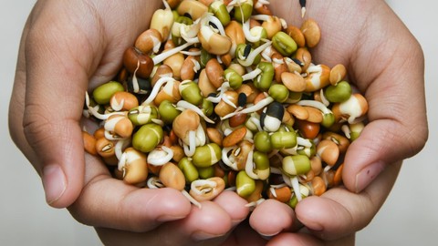 Marketlerde Satılan Tohumlar Alınır mı? Bol Hasat İçin Bu Detaya Dikkat Edin