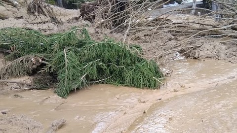 Dün Çığ Bugün Heyelan! Artvin'de Bir Felaket Daha