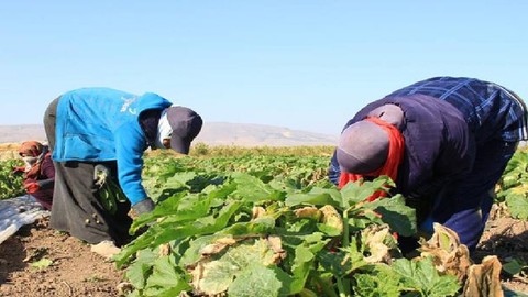 Çiftçiler Sezona Başladı
