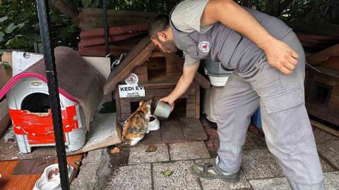 Sokak Hayvanları İçin Kalp Isıtan Adım