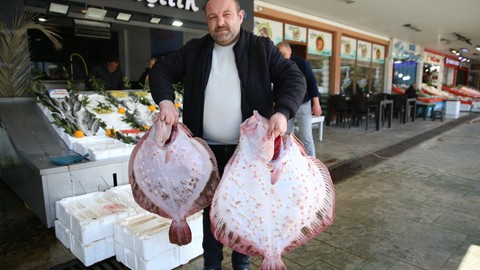 Ordulu Balıkçıların Yüzünü Kalkan Güldürdü