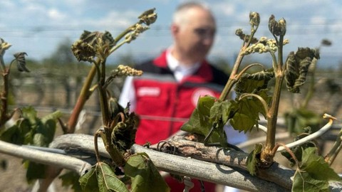CHP'li Gürer'den Zirai Don İçin Çiftçiye Destek Çağrısı