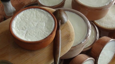 Mayasız Yoğurt Yapımı Mümkün! Kaya Gibi Sert Sonuç İçin Şaşırtıcı Tarif