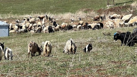 Herkesin Burun Kıvırdığı İş İçin 70 Bin TL Maaş Veriyorlar: Kimse Başvurmazsa Yurt Dışından Getirecekler