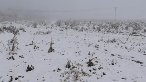 Ağrı'yı Dolu Vurdu