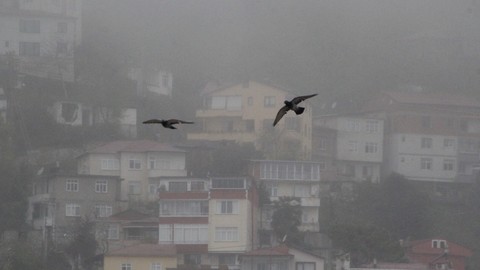 Ordu’nun Yüksek Kesimleri Sise Gömüldü