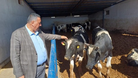 Kurban Bayramı Yaklaşırken 'Ne Vatandaş Mutlu Ne Üretici'
