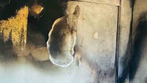 Siirt'te Yanan Ev Kullanılamaz Hale Geldi