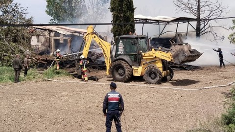 Ayvalık’ta Kereste Deposunda Büyük Yangın: Müdahale Saatler Sürdü