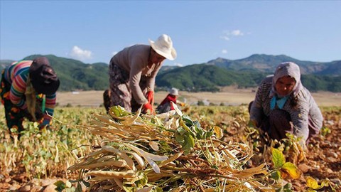 Zirai Don Felaketi Sonrası Çiftçiler İçin Kanun Teklifi