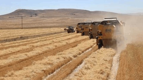 Gürer'den Tarım Sayımı Çıkışı: 22 Yıldır Sayım Yapılmadı