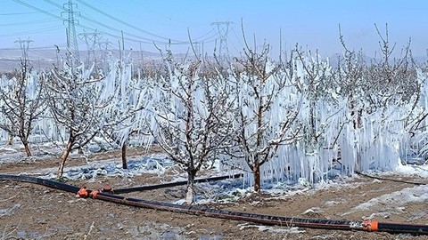 Çiftçi Borçta, Komisyondan Ses Yok! Tarım İçin Alarm Zilleri Çalıyor