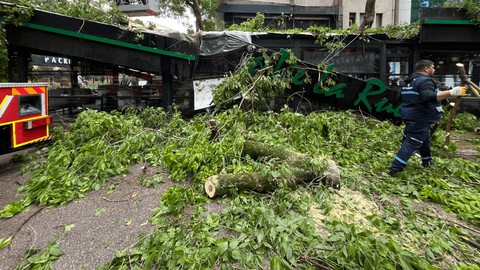 Çınar Ağacı Kafenin Üzerine Devrildi