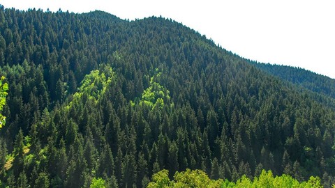 Balıkesir'de Ormanlık Alanlara Girmek Yasaklandı
