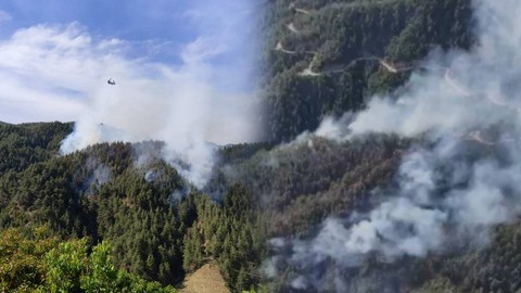 Kahramanmaraş'ta Orman Yangını! Alevler 3 Saatte Kontrol Altına Alındı