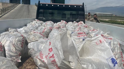 Ağrı'da 2 Ton Kaçak İnci Kefali Ele Bulundu