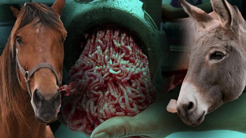 Bakanlık Tek Tek İfşa Etti: Kıymada Yine At ve Eşek Eti Skandalı