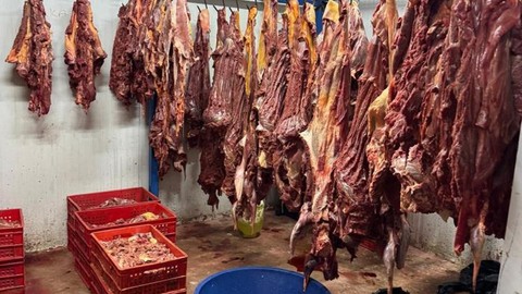 Skandalın Adresi Adana... 3 Ton Bozuk At Eti Ele Geçirildi