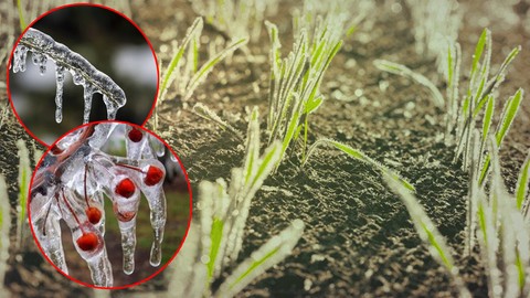 65 İli Esir Aldı Zarar Yüzde 100! ‘6 Şubat Depremi Gibi’… Felaketin Sayısı Bini Aştı
