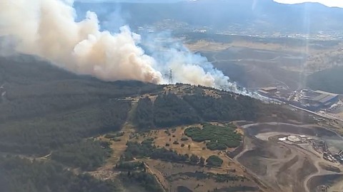 İzmir'de Orman Yangını! Kontrol Altına Alındı
