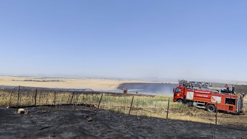 Diyarbakır'da 1000 Hektarlık Alanı Kül Eden Yangın