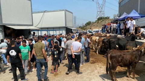 İzmir’de Kurban Bayramı’nın İlk Günü Kesim Alanlarında Yoğunluk Yaşandı
