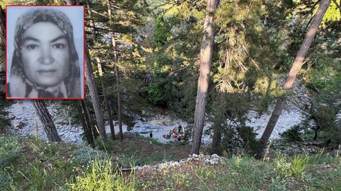 Ailesiyle Pikniğe Gitti, Kabusu Yaşadı! Dengesini Kaybedip Uçurumdan Yuvarlandı