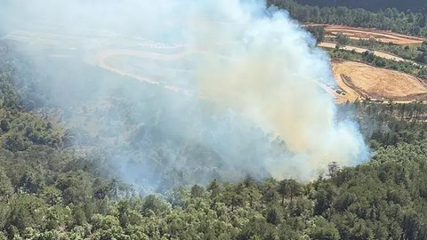 Balıkesir'de Orman Yangını: Havadan, Karadan Müdahale Başladı