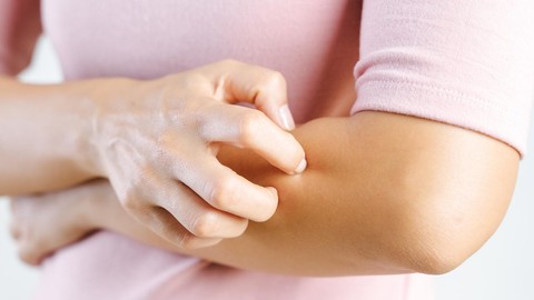 Böcekleri Düşünmek Bile Kaşındırıyor: Bilim İnsanları Sebebini Açıkladı