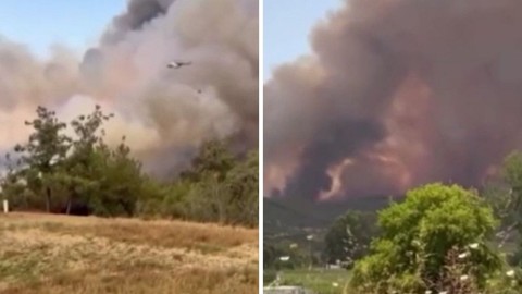 Adana'da Orman Yangını Alarmı: Ekipler Havadan ve Karadan Seferber Edildi