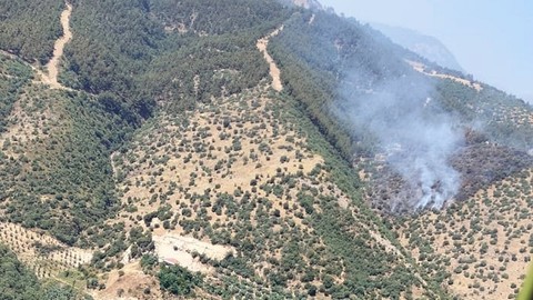 Manisa'da Orman Yangını: Müdahale Sürüyor