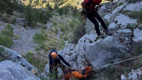 Emekli Polisin Feci Ölümü! Ihlamur Toplarken Can Verdi