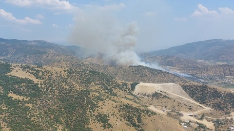 Aydın Efeler’de Zirai Alanda Yangın Çıktı