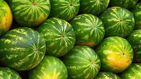 Şeker Gibi Karpuzu Anlamanın Yolu Bu Kadar Basitmiş! Adanalılar Meğer Bu Tatkiği Uyguluyormuş