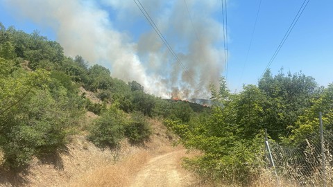 Bursa'da Orman Yangını! Havadan ve Karadan Müdahale Sürüyor