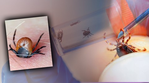 İl İl Gezen Kabusun Bilinmeyeni! Ölüme Davetiye Çıkaran 3 Sebep Ortaya Çıktı