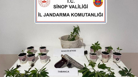 Sinop’ta Kenevir Operasyonu: 4 Kişiye Adli İşlem