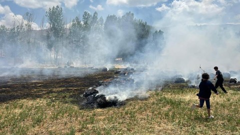 Hakkari'de Bin 500 Bağ Ot Yandı