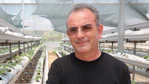 Topraksız Hasat Ediliyor, Verimi Anında Katlanıyor: Sıfır Masrafı Oluyor, Eken Köşeyi Dönüyor