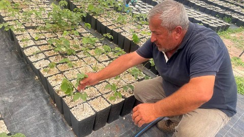 Uludağ’da Cesur Hasat: Türkiye’de Bir İlk! Hata Lüksü Yok Dediler, 700 Bin TL Yevmiye Ödediler