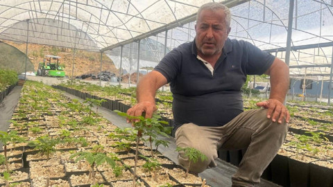 Uludağ’da Cesur Hasat: Türkiye’de Bir İlk! Hata Lüksü Yok Dediler, 700 Bin TL Yevmiye Ödediler