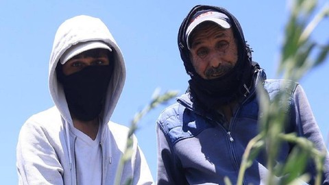 44 Derecede Zorlu Mesai: Öğlene Kadar Çalışıyorlar, Günlük 650 TL Kazanıyorlar
